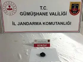 Gümüşhane’de jandarmadan uyuşturucu operasyonu