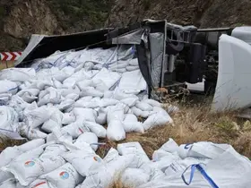 Gümüşhane’de balık yemi yüklü tır devrildi: Sürücü yaralandı
