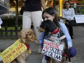 Gümüşhane’de ’Hayvanları Koruma Günü’nde anlamlı yürüyüş
