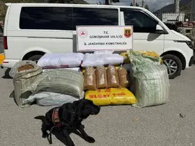 Gümüşhane’de kaçak tütün operasyonu: 530 kilo tütün ele geçirildi
