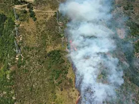 Gümüşhane’deki yangın kontrol altına alındı
