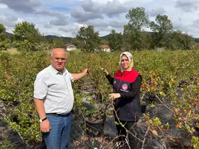 Gümüşova’da Yaban Mersini ve Aronya üretimi için yeni adım
