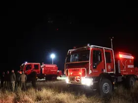 Gürcistan İçişleri Bakanı Geladze, Türkiye’ye ait asker kargo uçağının düştüğü bölgede
