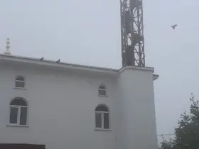 Güvercin yuvası minare yıkımını erteledi
