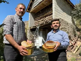 Hakkari dağlarında bal hasadı başladı
