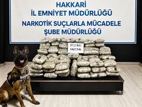 Hakkari’de 57 kilo 200 gram skunk ele geçirildi

