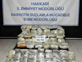 Hakkari’de 64,5 kilogram skunk ele geçirildi
