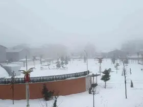 Hakkari’de karla karışık yağmur ve sis etkili oldu
