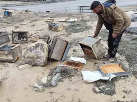 Hakkari’de selde 150 kovan zarar gördü
