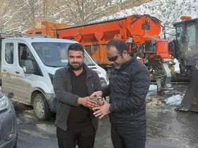 Hakkari’de yaralı kekliğe şefkat eli
