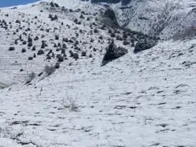 Halkapınar'da nisan ayında kar sürprizi