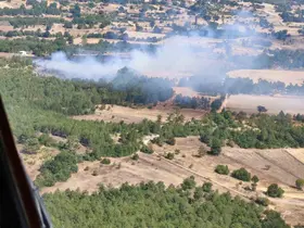 Harmancık’ta orman dışı alanda başlayan yangına ekipler müdahale ediyor
