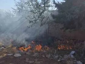 Hassa’da bahçe yangını
