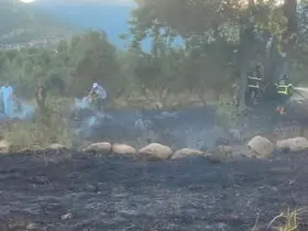 Hassa’da zeytinlik alan yangını
