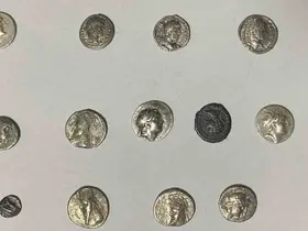Hatay’da 26 sikke kargo ile göndermek üzereyken ele geçirildi
