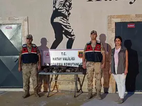 Hatay’da 7 arı şahini avlayan şahsa ceza yağdı
