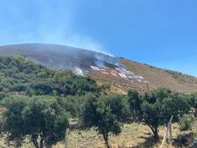 Hatay’da çıkan orman yangını büyümeden söndürüldü
