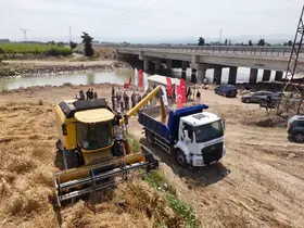 Hatay’da  "her tohum bir gıda" projesinde ekilen buğday hasat edildi
