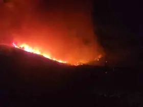 Hatay’da orman yangınının etkili olduğu bölgede evler tahliye ediliyor
