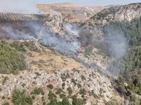 Hatay’daki orman yangını kontrol altına alındı
