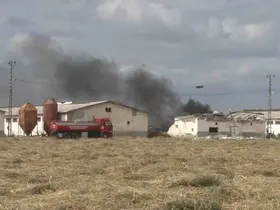 Havai fişek deposunda korkutan yangın
