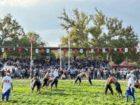 Havran’da Seyitonbaşı Yağlı Güreşleri coşkusu
