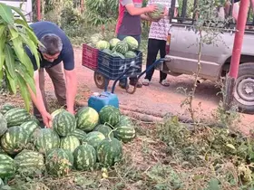 Hayırsever çiftçinin tarlası bu yıl öğrencilerin için hasat edildi
