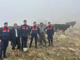 Hayvanları kaybolan kişinin imdadına jandarma yetişti