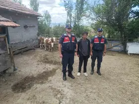 Hayvanlarını kaybeden çiftçinin yardımına Jandarma ekipleri koştu
