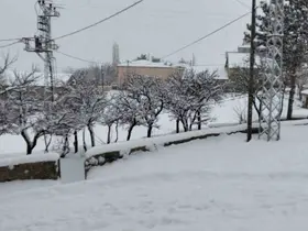 "Her şey devletten beklenmez" diyerek köy yollarını kendi imkanlarıyla temizlediler
