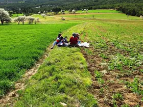 Hisarcık’ta tarımsal saha çalışmaları yapıldı
