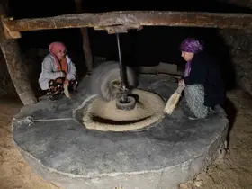 Hizan’da asırlık su değirmeniyle doğal pirinç üretimi sürüyor
