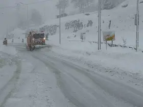 Hopa-Borçka karayolunda kar ve tipi ulaşımı güçleştiriyor
