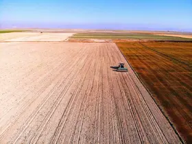 Hububat ambarı Konya Ovasında yağışlar yetersiz
