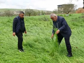 Hububatı ‘süper hücre’ vurdu
