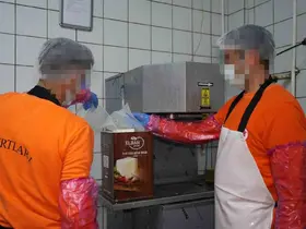 Hükümlüler hem meslek ediniyor hem üreterek ekonomiye katkı sağlıyor: Ayda 300 ton süt işleniyor
