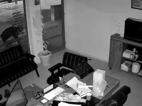 İş yeri önündeki saksıdaki çiçekleri söküp alıp gitti