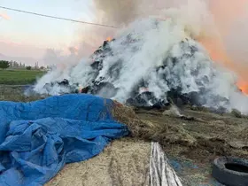 Iğdır’da çıkan yangında yaklaşık 6 bin balya ot kül oldu
