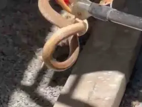 Iğdır’da eve giren yılan paniğe neden oldu
