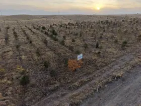 Iğdır’da fidanlar toprakla buluştu
