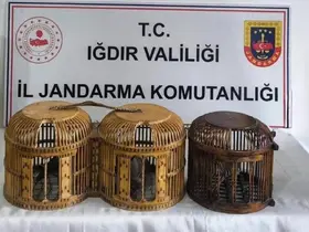 Iğdır’da kaçak keklik avına suçüstü: 72 bin TL ceza
