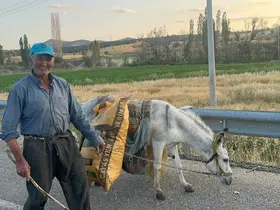 İki dönüm fasulyenin arkasındaki güç: 74 yaşındaki çiftçi ve bir eşek