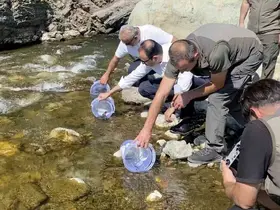 İki sel felaketinden etkilenen İlişi Çayı’na 15 bin alabalık salındı
