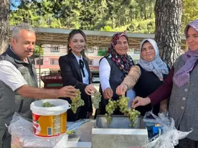 İklime Dirençli Ormancılık Projesi
