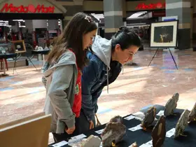 "İl İl Türkiye Sergisi" Diyarbakır’da sanatseverlerle buluştu
