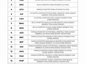 İletişim Başkanlığı 17 yatırım fonuna ait ödemelerin başladığını duyurdu
