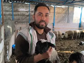 İlgi odağı olan çift başlı ve 4 gözlü kuzu 1 gün yaşayabildi
