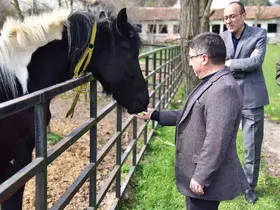 İlk tüp tay Balat 2 yaşında
