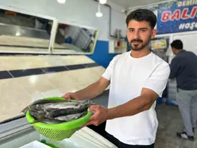 İnci kefali tezgâhlardaki yerini aldı
