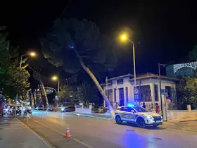 İncirliova’da çam ağacı kuvvetli rüzgara dayanamadı
